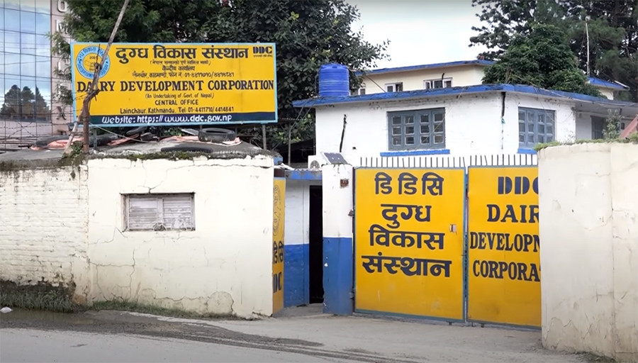 कृषि मन्त्रीले फ्यालिन डिडिसी व्यवस्थापनका ९ निर्देशन