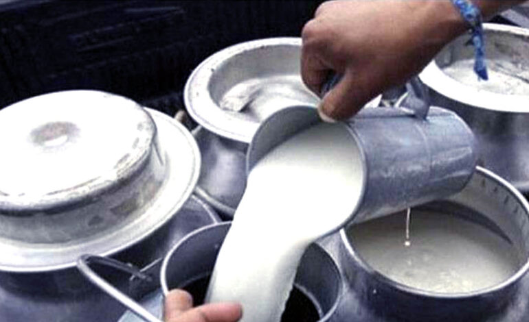 नयाँ सरकारले पनि दुग्ध उत्पादक किसानले ५५ करोड भुक्तानी दिएनन्