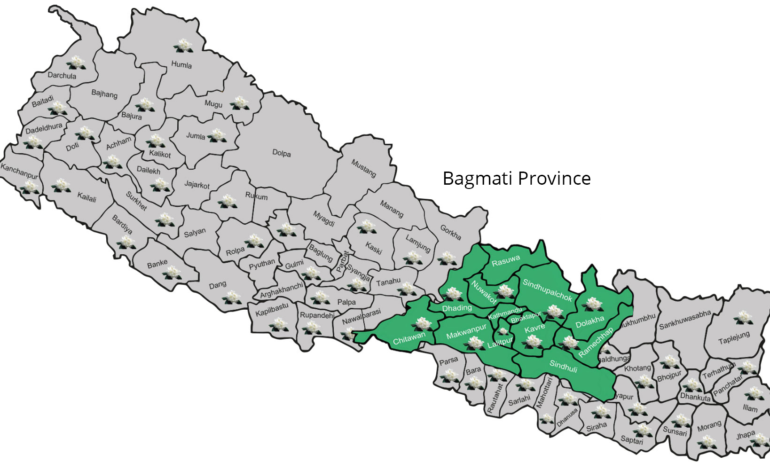 बागमती प्रदेशमा तेस्रो भाषा दिवस, आज प्रदेशभर सार्वजनिक बिदा