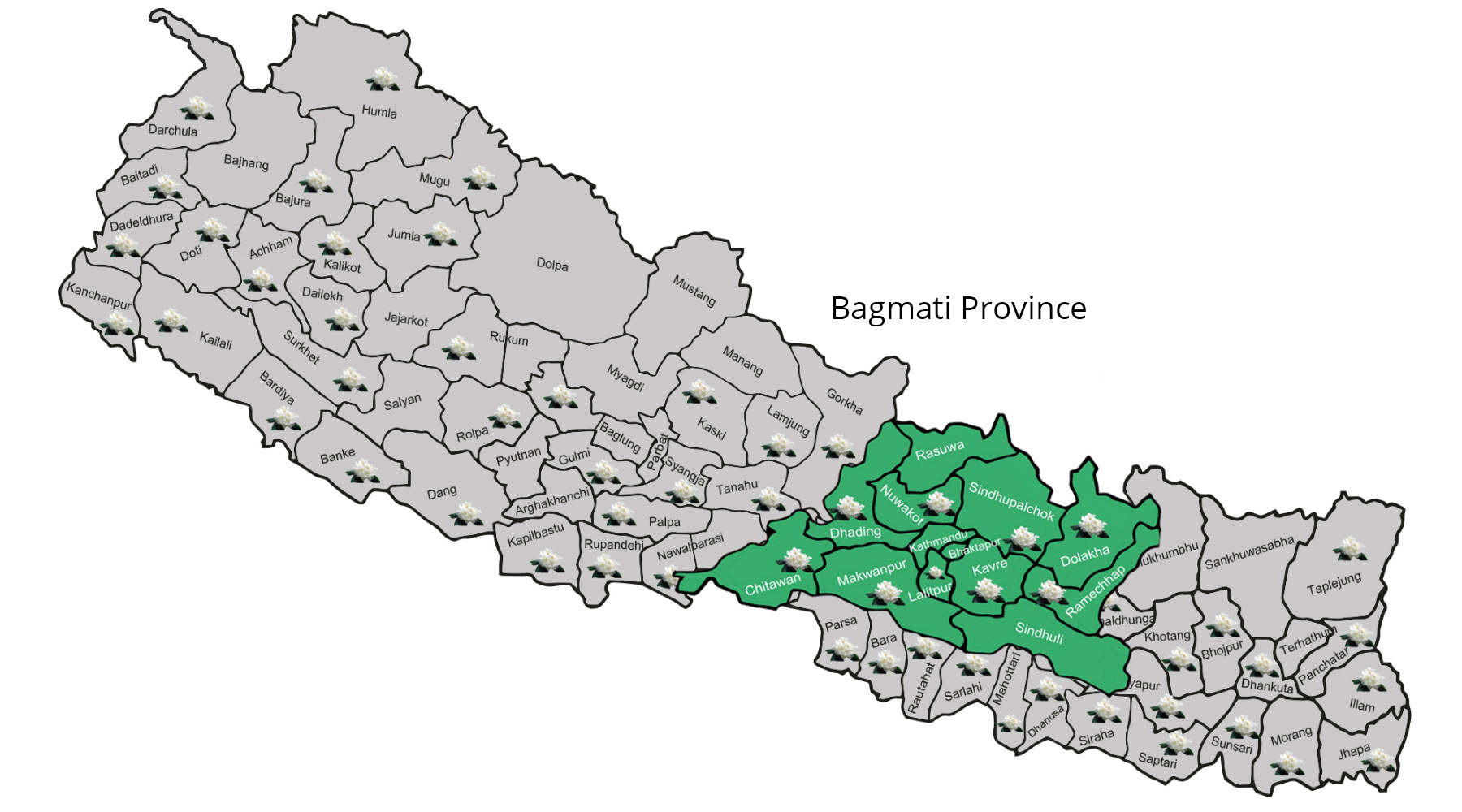 बागमती प्रदेशमा तेस्रो भाषा दिवस, आज प्रदेशभर सार्वजनिक बिदा