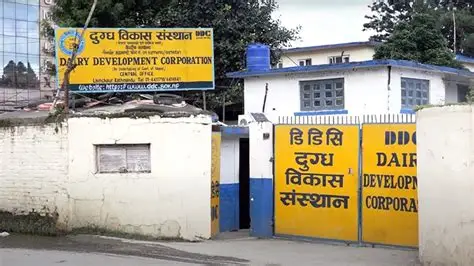 डीडीसीका कर्मचारीले लिने सित्तैको दूध र घ्यु, कटौती