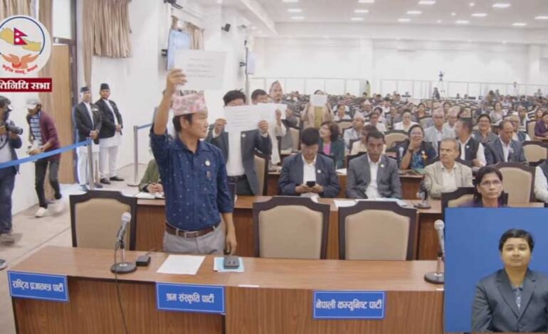 सदनमा श्रम संस्कृति पार्टीको प्रदर्शन, समामुखले दिए चेतावनी