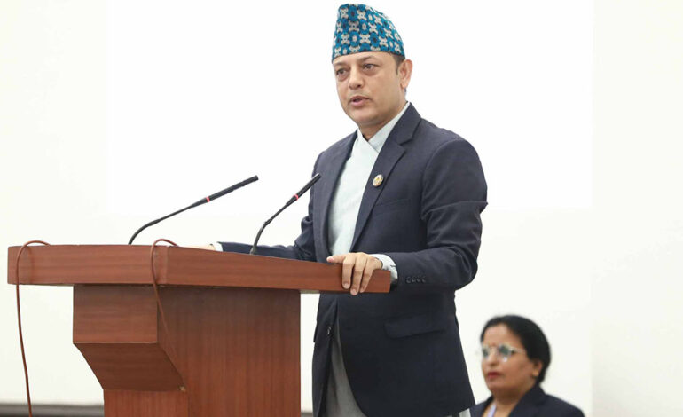काम र व्यवहारप्रति थप जिम्मेवार बन्न सांसदलाई सभामुखको सुझाव
