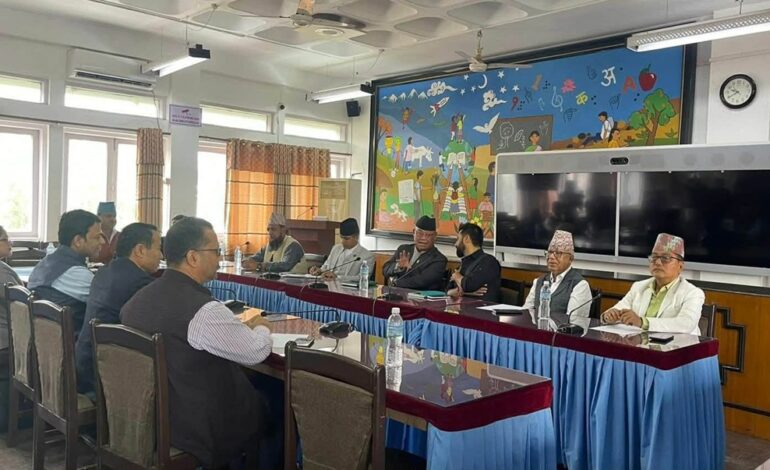 सरकारलाई परिपक्क बनाउन रविलाई लिङदेनको सुझाव