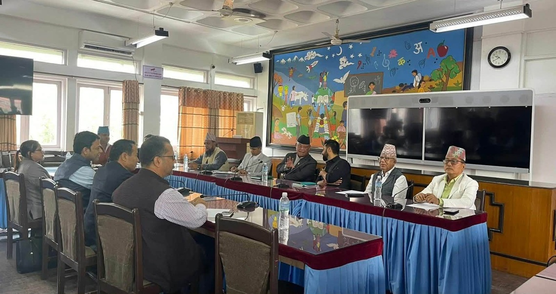 सरकारलाई परिपक्क बनाउन रविलाई लिङदेनको सुझाव