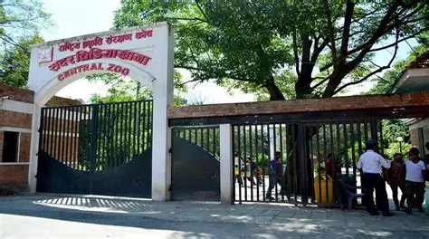 बर्डफ्लु देखिएपछि सदर चिडियाखाना बन्द
