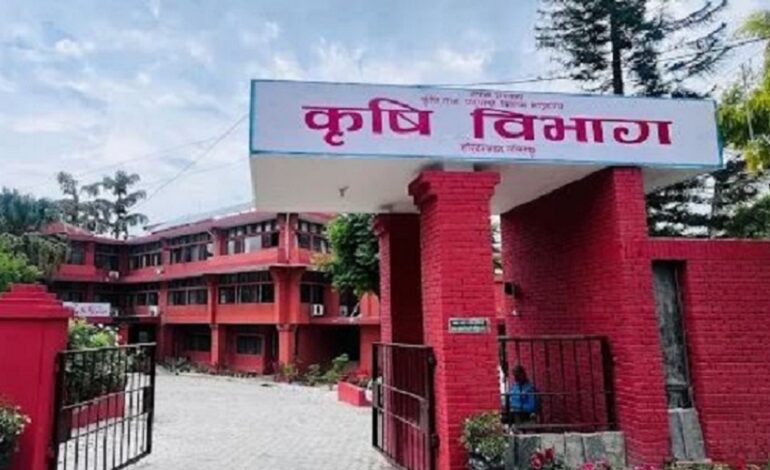 बीउ उत्पादन कार्यक्रम ५८ स्थानीय तहमा सञ्चालन