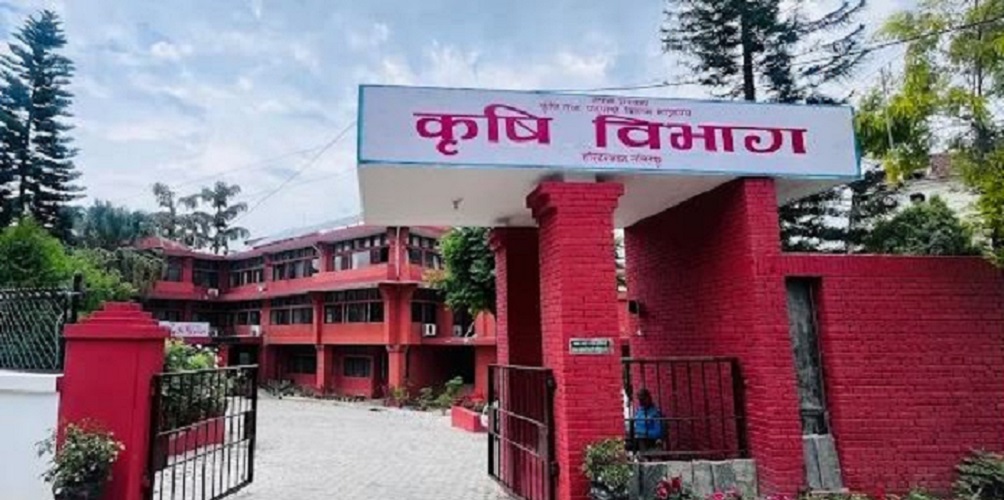 बीउ उत्पादन कार्यक्रम ५८ स्थानीय तहमा सञ्चालन