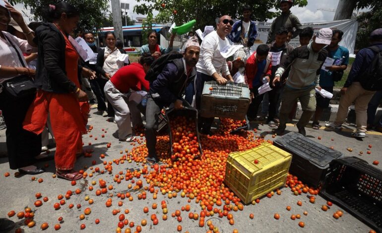 गोलभेडा सडकमा फालेर किसानको आन्दोलन, भारतीय आयत रोक्न माग