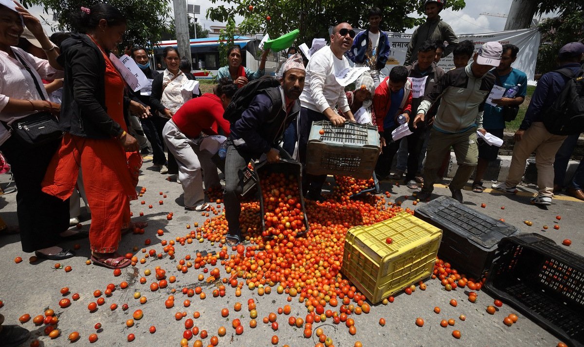 गोलभेडा सडकमा फालेर किसानको आन्दोलन, भारतीय आयत रोक्न माग